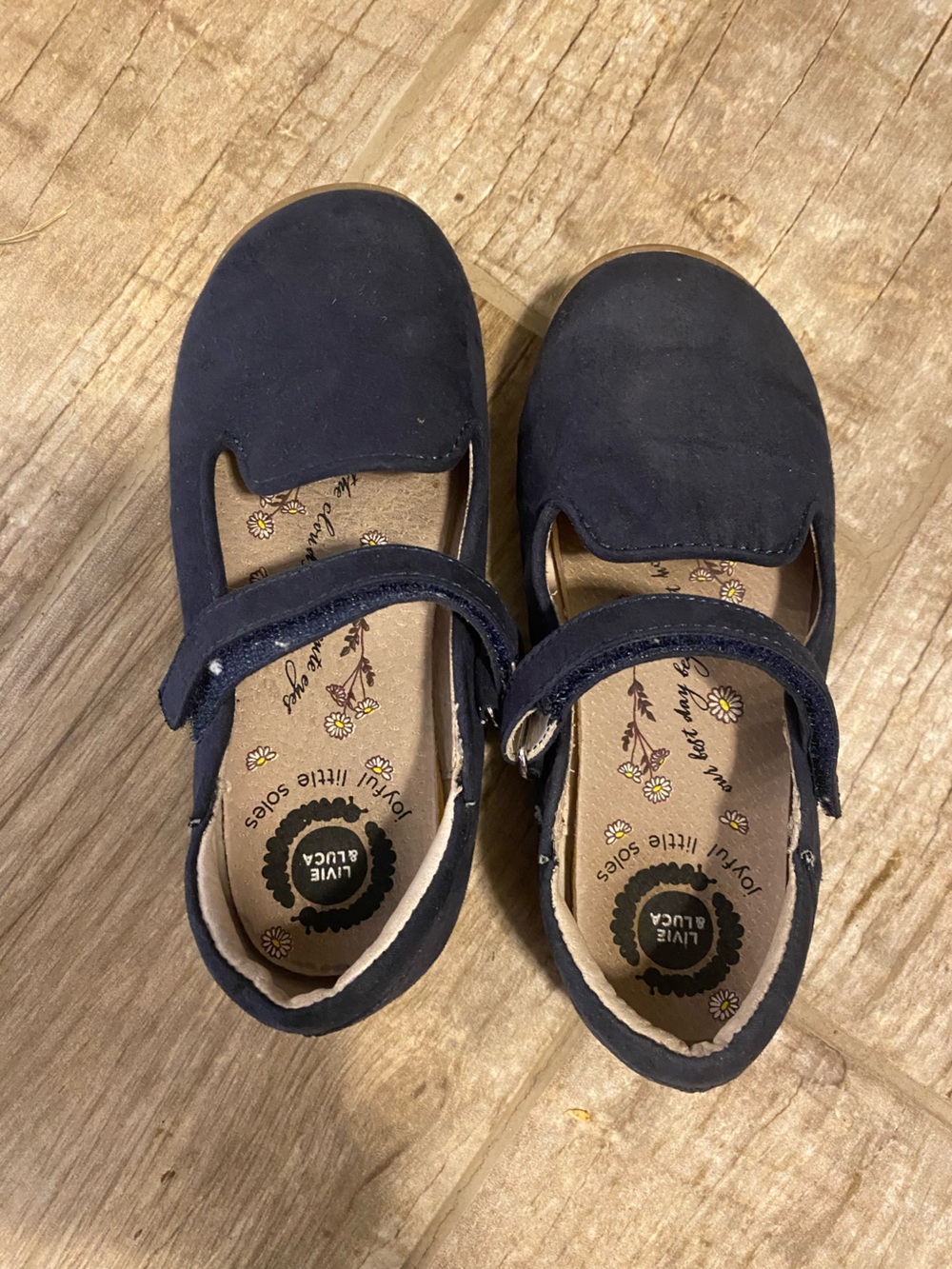 Livie & Luca Navy Suede Mary Jane Shoes for Kids
